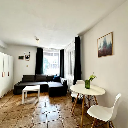 Nw Studio Lesne I Apartamento